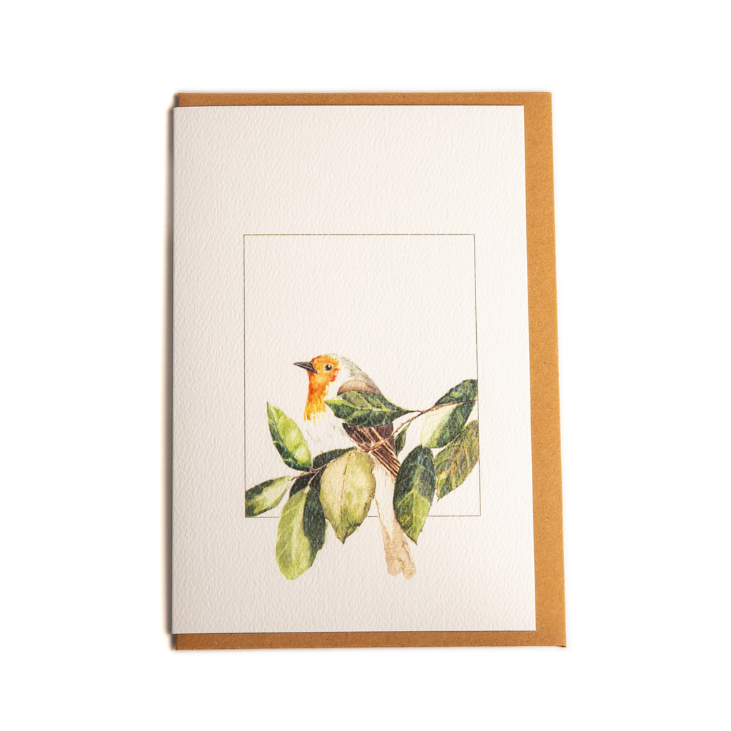 Robin - Greeting Card